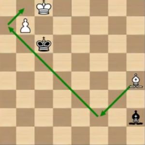 Bishop and Pawn v Bishop